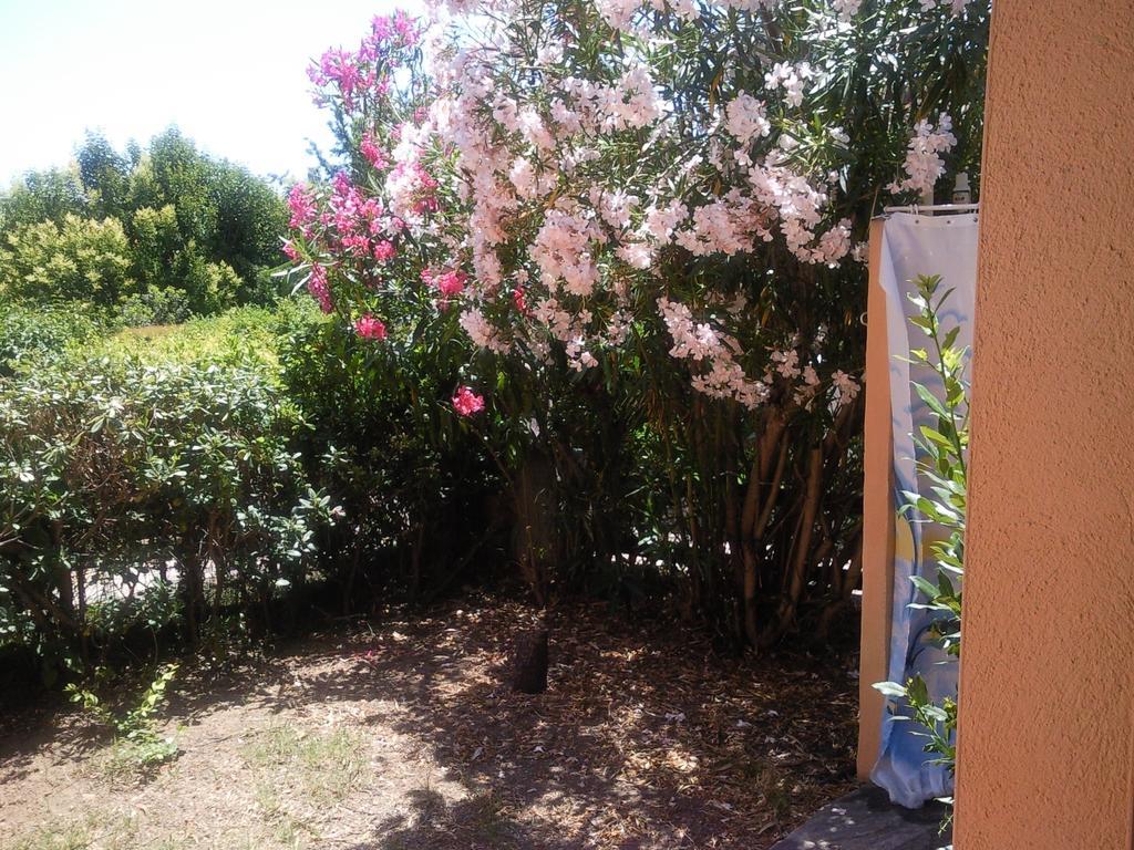 شقة Monolocale San Teodoro سان تيودورو الغرفة الصورة